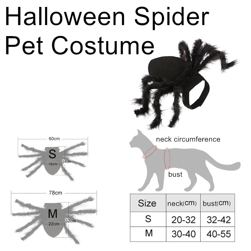 Spider Boston Terrier Costume