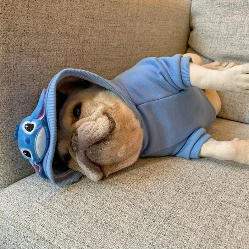 Stitch Costume for Boston Terrier