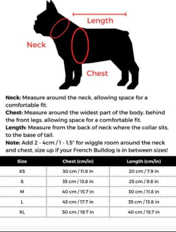 Bee Boston Terrier Costume