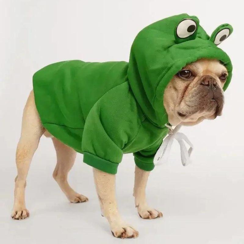 Froggy Doggy Boston Terrier Hoodie
