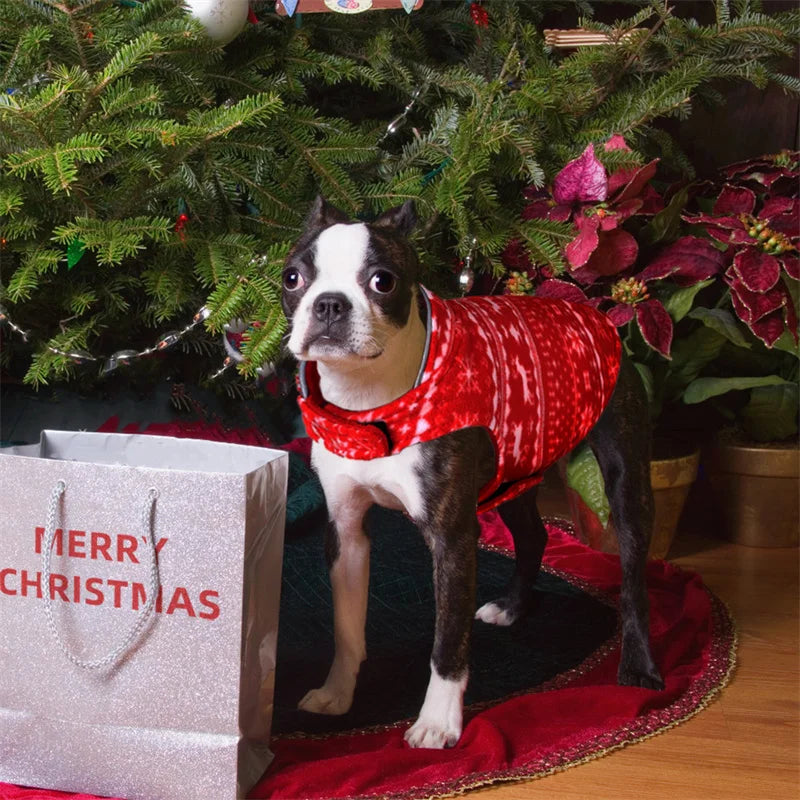 Christmas Dog Vest