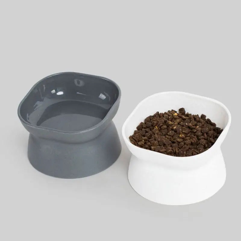 Boston Terrier Feeder Bowl