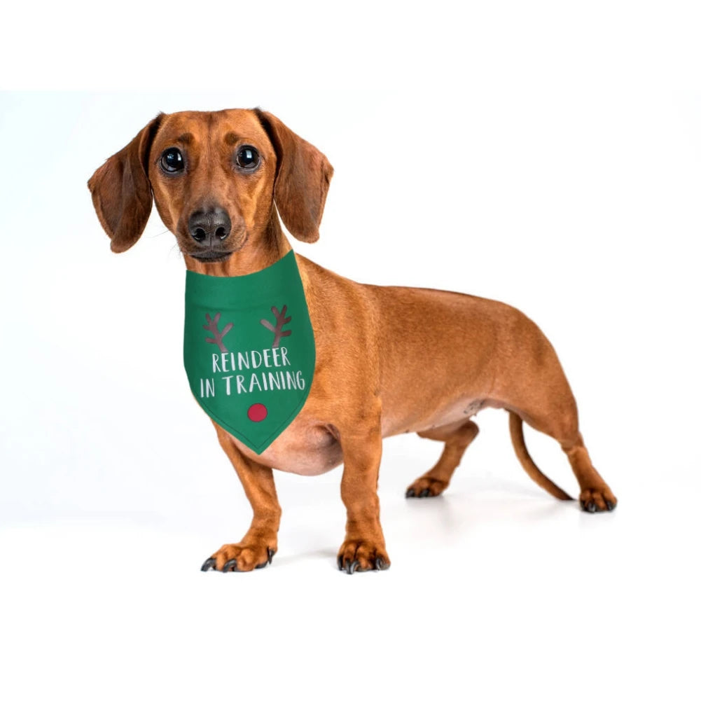 Christmas Bandana