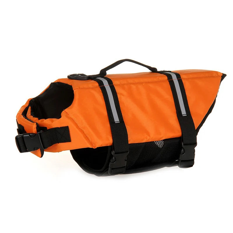 Sporty Boston Terrier Life Vest