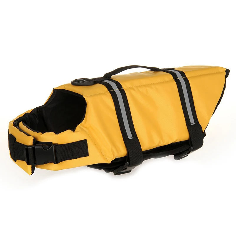 Sporty Boston Terrier Life Vest