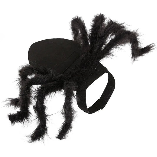 Spider Boston Terrier Costume