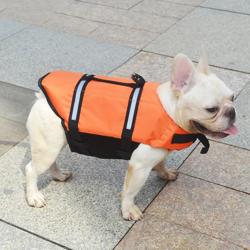 Sporty Boston Terrier Life Vest