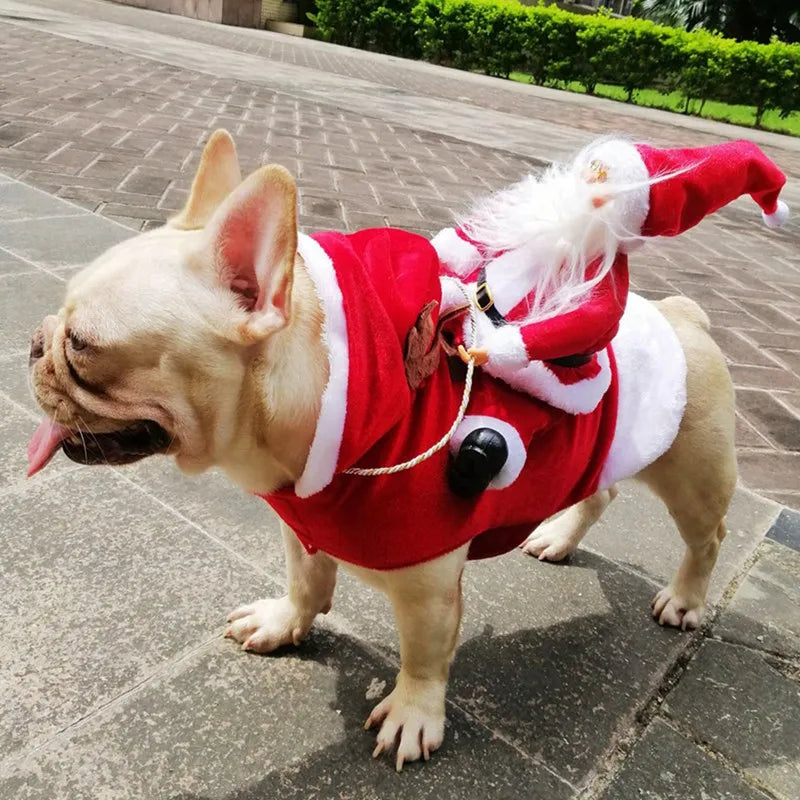 Riding Santa Boston Terrier Costume