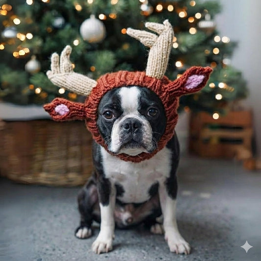 Reindeer Boston Hat