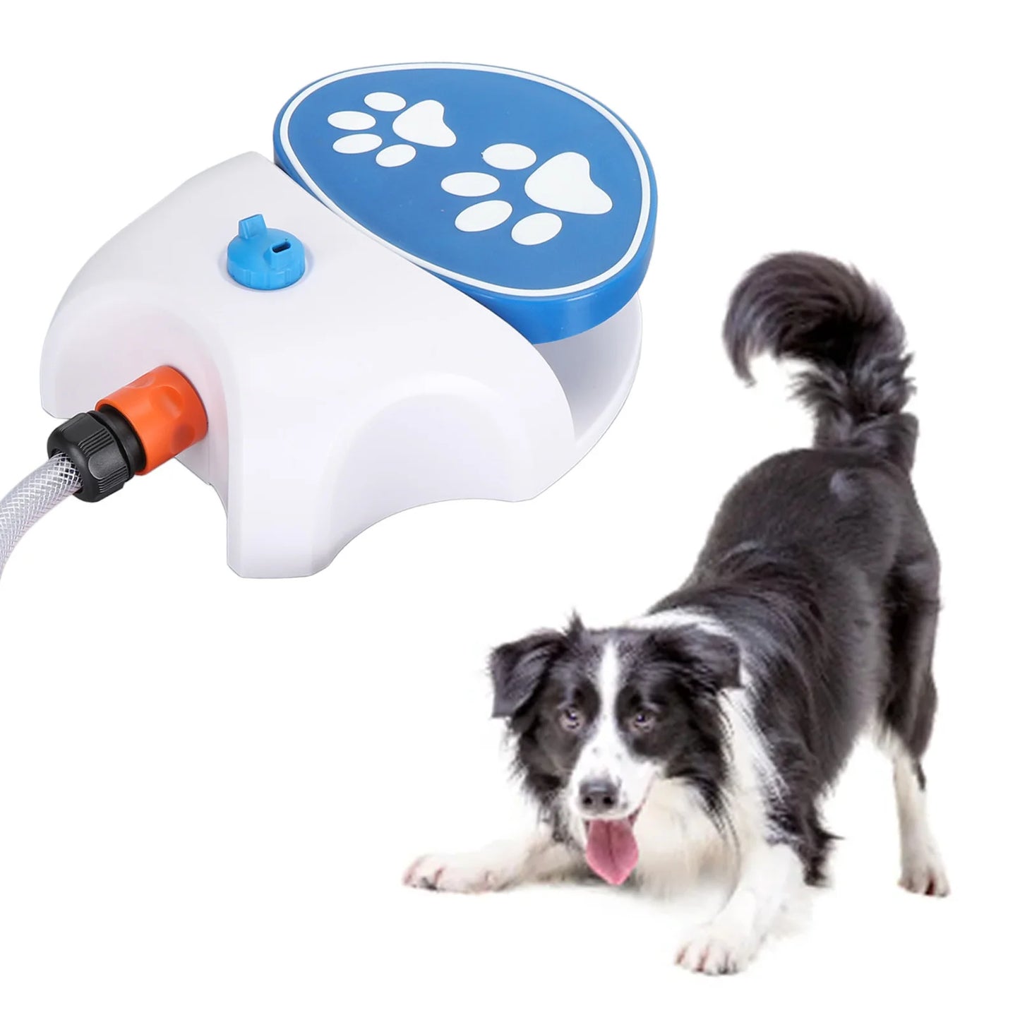 Dog water fountain for Boston terriers