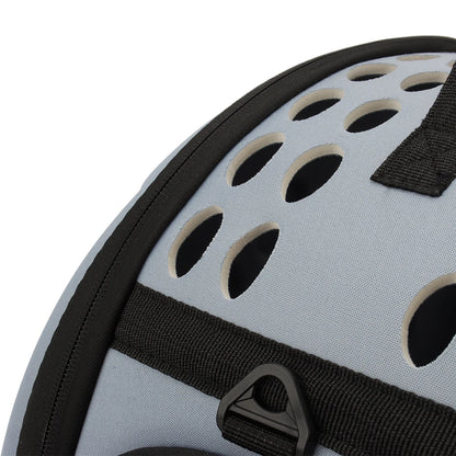 Boston Terrier Carrier Bag