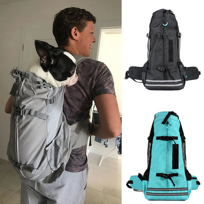 Boston Terrier Mesh Carrier