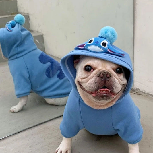 Stitch Costume for Boston Terrier