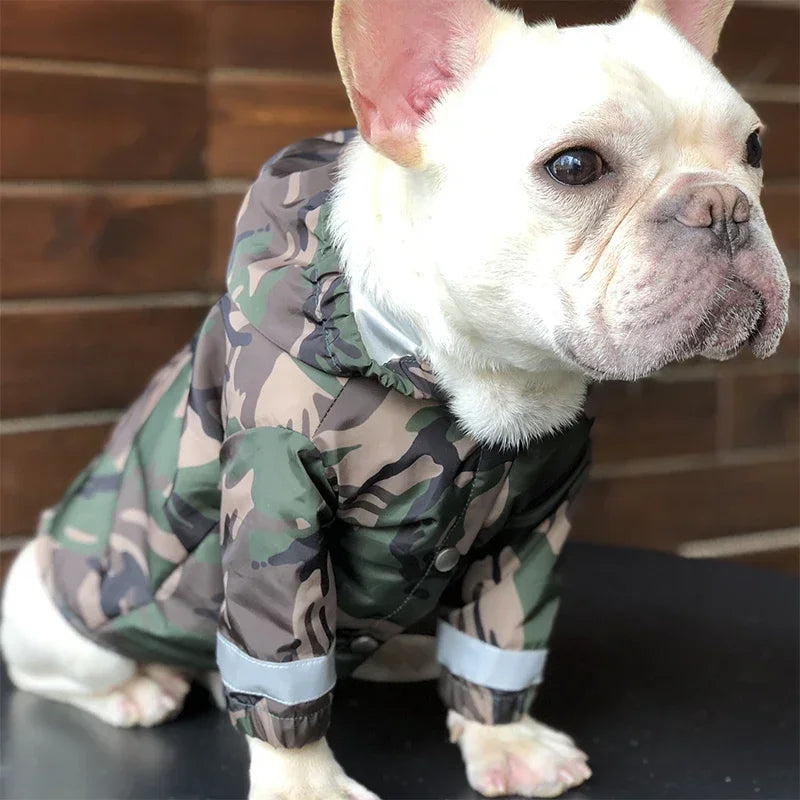 Camo Boston Terrier Windbreaker Jacket