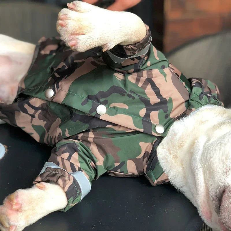 Camo Boston Terrier Windbreaker Jacket