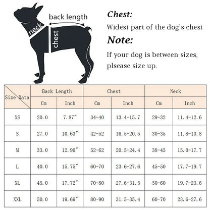 Neon Boston Terrier Life Jacket