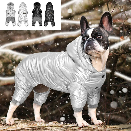 Boston Terrier Bubble Reflective Raincoat