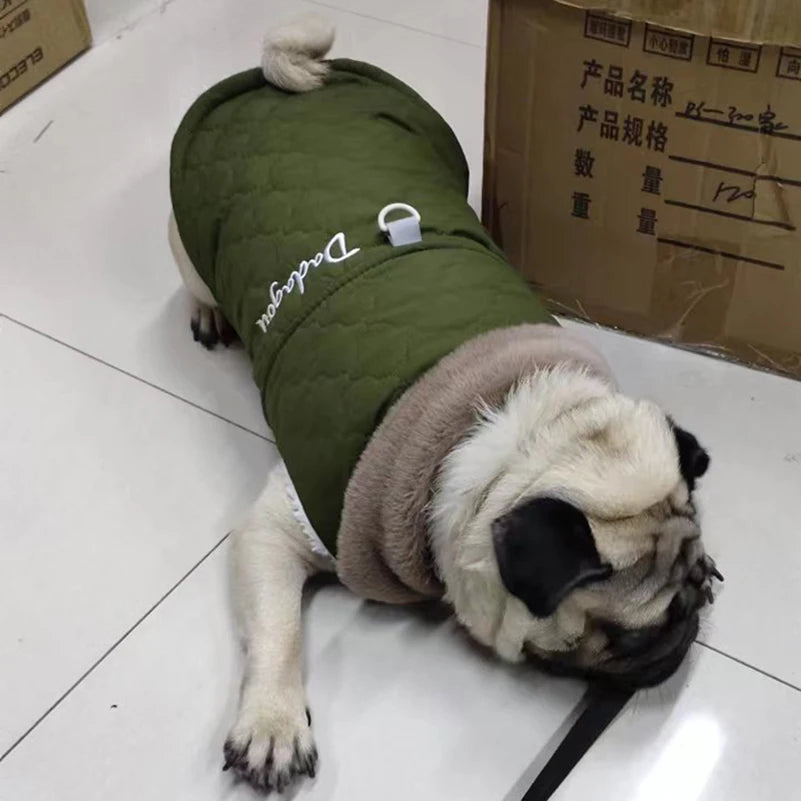 Waterproof Boston Terrier Jacket