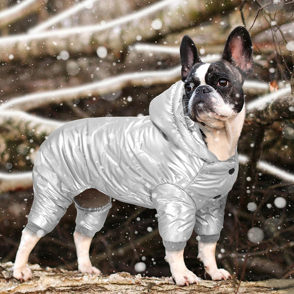 Boston Terrier Bubble Reflective Raincoat