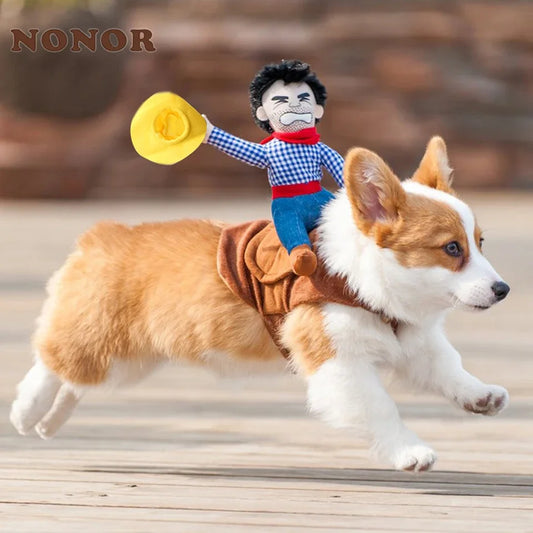 Boston Terrier Halloween Outfit – Cowboy Style