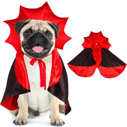 Dracula Boston Terrier Costume