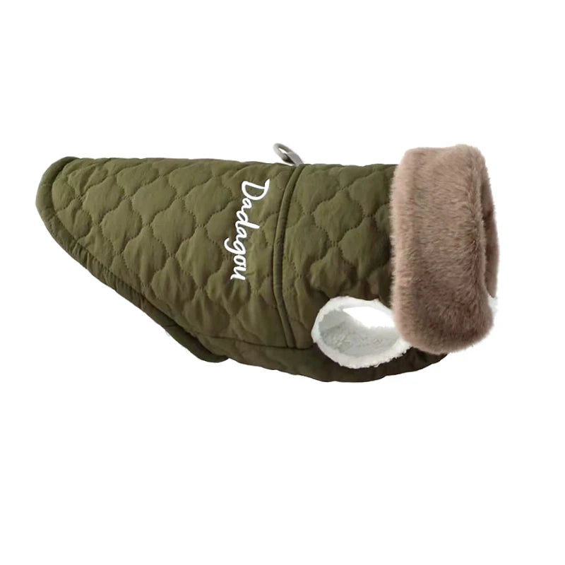 Waterproof Boston Terrier Jacket