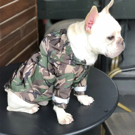 Camo Boston Terrier Windbreaker Jacket