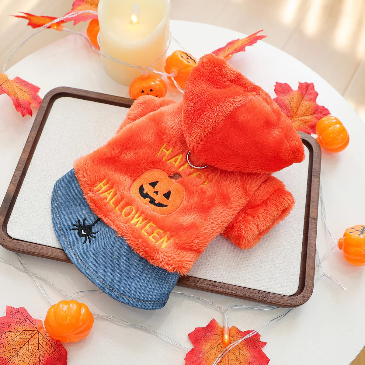 Warm Halloween Pullover for Boston Terriers