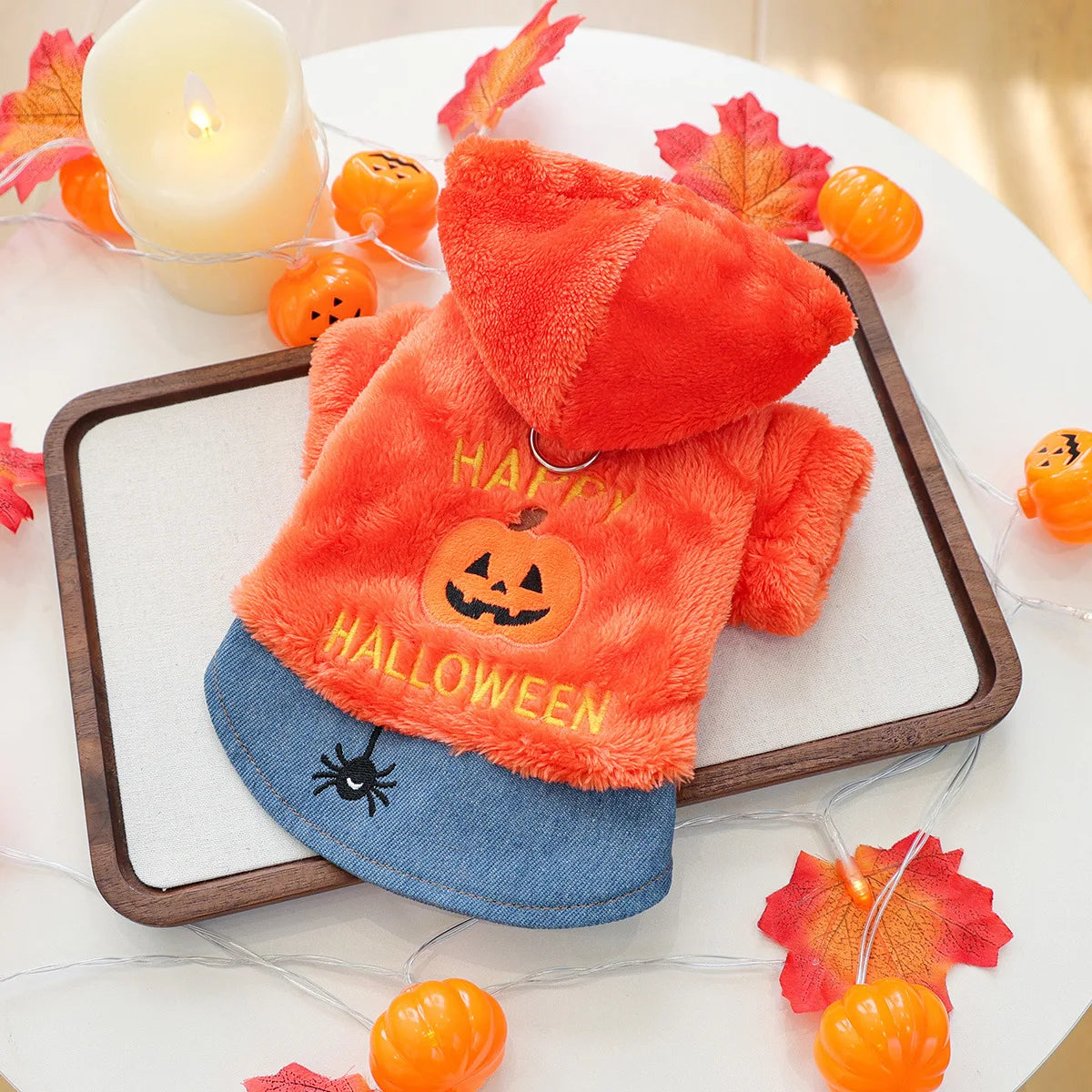 Warm Halloween Pullover for Boston Terriers