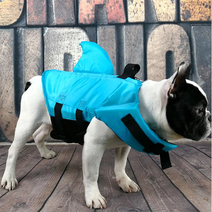 Neon Boston Terrier Life Jacket