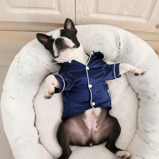 Classy Bostonn Terrier Pajamas
