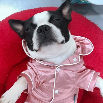 Classy Bostonn Terrier Pajamas