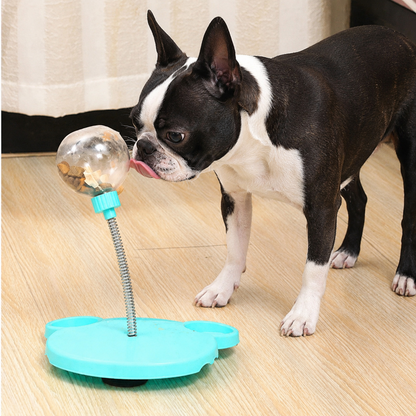Boston Terrier Feeding Stick