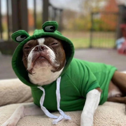 Froggy Doggy Boston Terrier  Hoodie