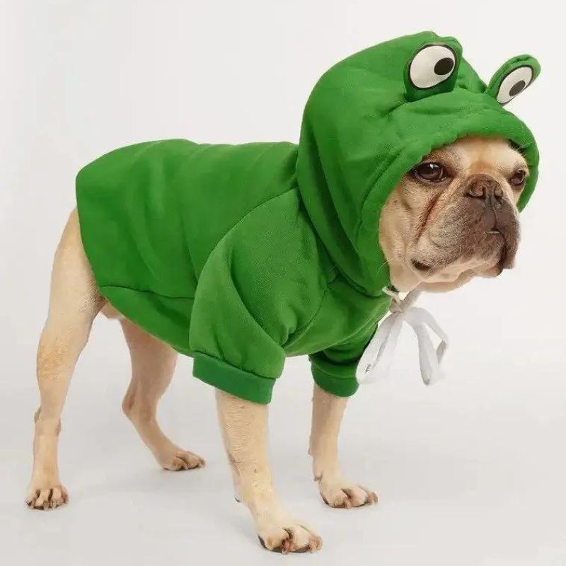 Froggy Doggy Boston Terrier  Hoodie